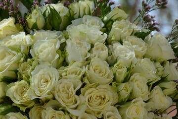 bouquet of white roses