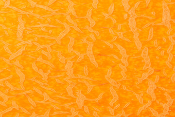 orange color natural backdrop: close up of ripe melon skin texture