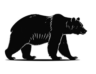 vector illustration of a bear