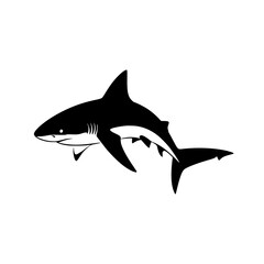Fototapeta premium shark vector illustration