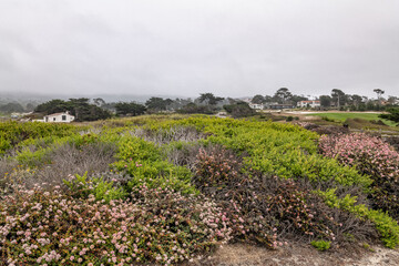Obraz premium Spanish Bay Vista Point. 17-Mile Drive is a scenic road through Pebble Beach and Pacific Grove on the Monterey Peninsula in California.