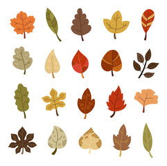 Fototapeta premium Nature leaf set in scandinavian style different shape, elements for natural botanical plants perfect for your illustration and creative designs projects