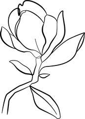 Magnolia Flower Hand Drawn One Line Art Drawing. Vector Floral Line Art Illustration for Poster, Print, Social Media, Wallpaper. Minimal Magnolia Flower One Line Art Creative Illustration.