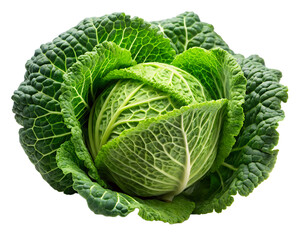 Obraz premium Fresh green cabbage with ruffled leaves, isolated on transparent background