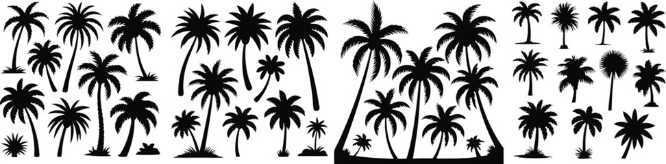 Assorted Silhouette Palm Trees in Black and White Tropical Coastal Design Illustration Graphics