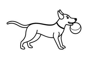 Happy dog with a ball in its mouth ready to play