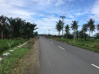 A quiet asphalt road winds through a lush tropical countryside, lined with palm trees and green...