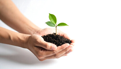 Person holds small plant soil, symbolizing growth and environmental care. This conveys sense of nurturing and hope for future