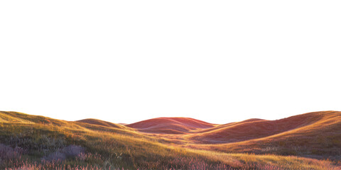 autumnal grass field landscape with hills in sunset colored light isolated on white or transparent png