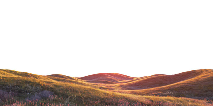 autumnal grass field landscape with hills in sunset colored light isolated on white or transparent png
