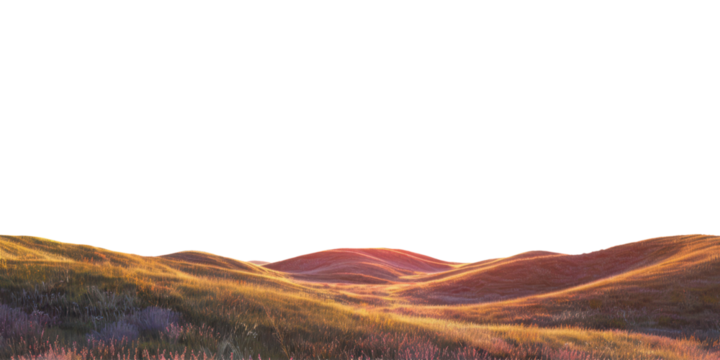 autumnal grass field landscape with hills in sunset colored light isolated on white or transparent png