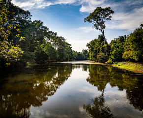 Tranquil River Reflection in Lush Greenery, in Angkor Wat, Cambodia