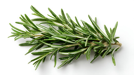 Fototapeta premium Fresh Rosemary Bunch Flat Lay 