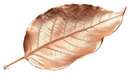PNG Metallic leaf on white background