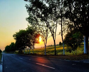 sunset in the park