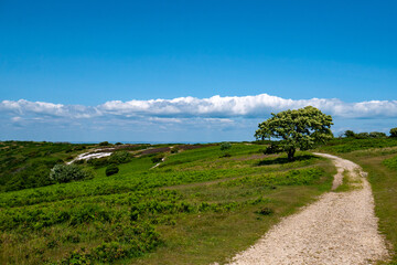 Isle of Wight