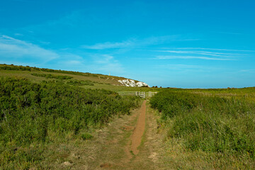 Bembridge Down Isle of Wight