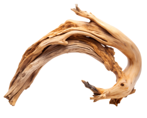 A single piece of gnarled driftwood with a curved shape, isolated on transparent background