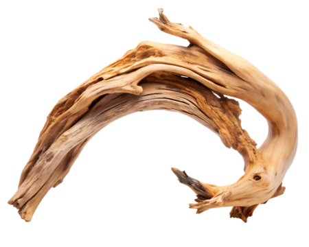 A single piece of gnarled driftwood with a curved shape, isolated on transparent background