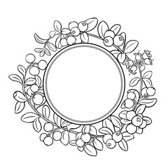 Cranberry Branch with Flowers, Berries and Leaves Outline Round Frame. Organic natural nutritional healthy food ingredient, vegetarian diet product. Vector isolated for design or decoration.
