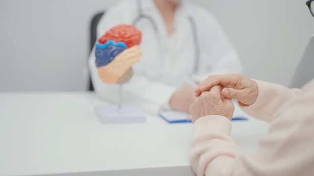Elderly Patient consulting Doctor to Brain disease, Senior Health Medical Diagnosis. Anatomy Brain model for Explanation, Brain Tumor, neurological disorders, Dementia, alzheimer, parkinson and Mental