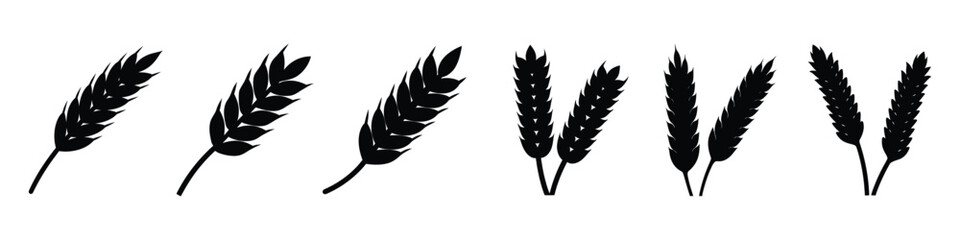 Black and white wheat stalks vector illustration for agriculture and harvest season design elements