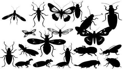 Collection of Insect silhouettes on white background