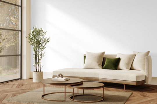 Modern daylight living room with large window, sofa, green pillow and olive tree – transparent PNG with shadow