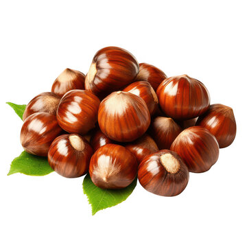 Pile of chestnuts isolated on transparent background