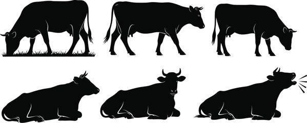 Six black cow silhouettes grazing, walking, and resting on white