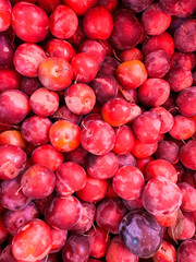 lots of ripe plum fruits for food as background