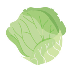 Cabbage Free Icon