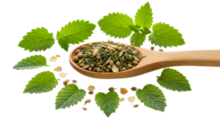 Dry mint tea leaves on wooden spoon with fresh green mint leaves isolated on white background, perfect for herbal tea recipes