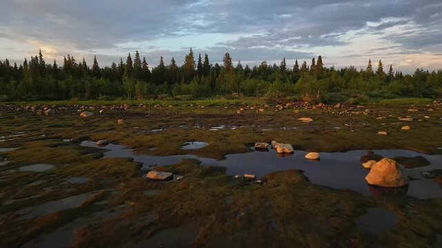 Stora Lulevatten shoreline at sunset, with wet rocks,trees and golden light reflecting on calm water