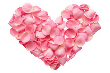 A heart shape made of delicate pink rose petals isolated on transparent background