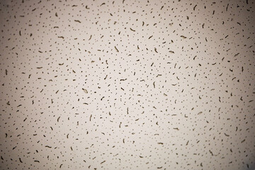 Light surface with dark inclusions