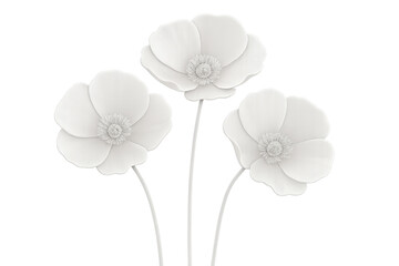 Three white poppy flowers blooming on long stems against a transparent background, creating a simple yet elegant floral arrangement