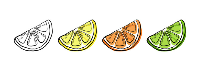 Slices of different citrus fruits, color illustration isolated on white, contour drawing with a line, vector. A set of bright, juicy, fresh, ripe pieces of lemon, orange, lime. A delicious element 