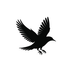 Obraz premium Adobe Illustrator Artwork