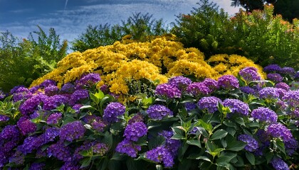 Obraz premium vibrant collection of purple and yellow flowers amidst lush green foliage captures nature s beauty perfect for backgrounds adding a touch of floral elegance to any design project