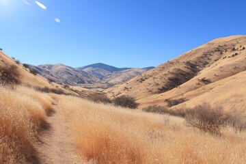 Sunny, dry, hillside vista with a path through tall, golden grass