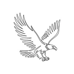 Fototapeta premium Adobe Illustrator Artwork