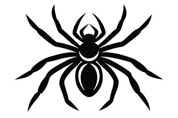 spider vector icon