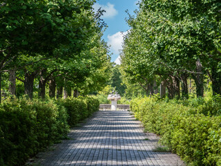 タイルが敷かれた並木の狭い遊歩道の先に白いオブジェとその上にわずかに見える青い空と白い雲