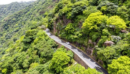 Winding road through lush mountainside forest