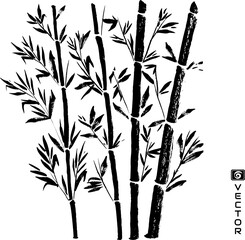 Bamboo silhouette. Forest, stems with leaves. Vector isolated design element