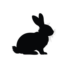 Fototapeta premium Adobe Illustrator Artwork