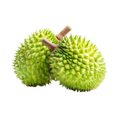 Two green durian fruits