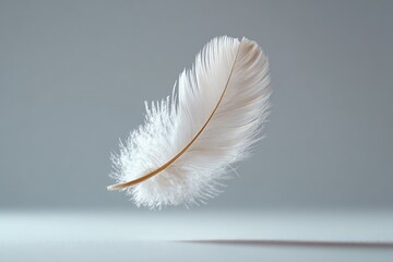 Obraz premium Delicate white feather softly floating against a neutral background in calm ambiance