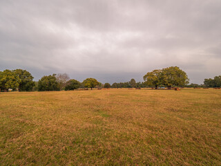 Cloudy Afternoon over the Field